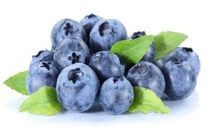 Yaban Mersini ile Blueberry Arasındaki Fark Nedir?